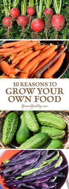 10 Reasons To Grow A Vegetable Garden Organic Recipes Winter