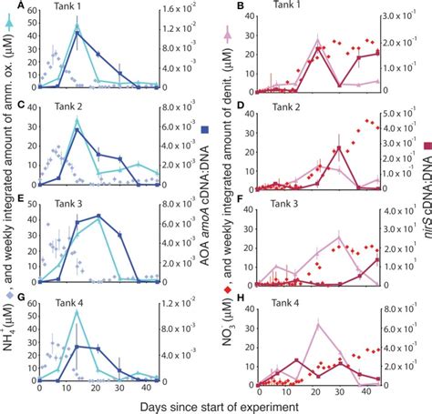 Comparison Of Ammonium Concentrations M And Ammonia Oxidation Rates