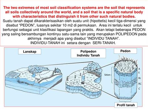 Laporan Praktikum Morfologi Dan Klasifikasi Tanah Super Mipa Hot Sex