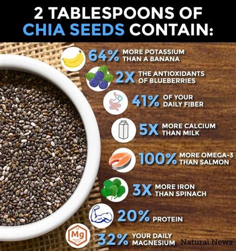 Are Chia Seeds High In Omega Flash Sales Primealture It