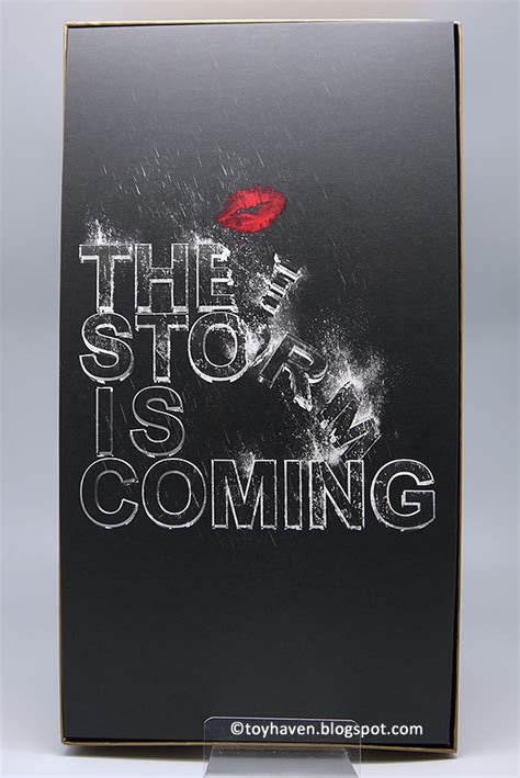 Toyhaven Review Hot Toys The Dark Knight Rises Selina Kyle Catwoman Female Collectible