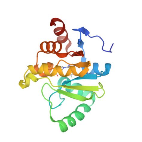 Rcsb Pdb Sqo Pandda Analysis Group Deposition Crystal Structure