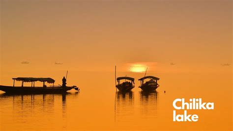 Chilika Lake 9 Most Amazing And Famous Fact About.