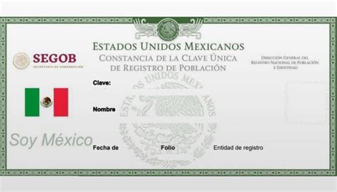 Dígitos Verificadores del CURP Descubre cómo validar tu identidad de