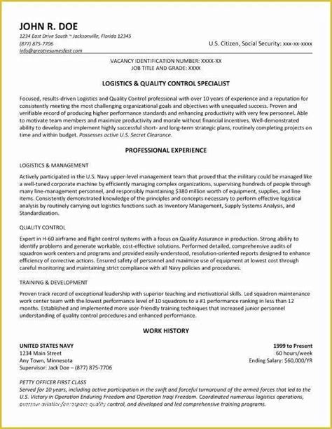 Government Cv Template