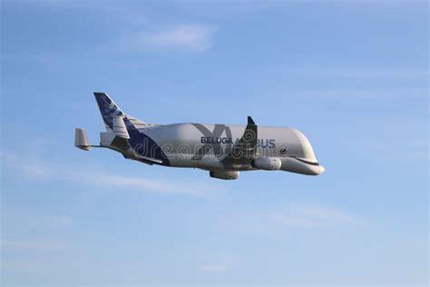 181 Beluga Plane Stock Photos - Free & Royalty-Free Stock Photos from Dreamstime