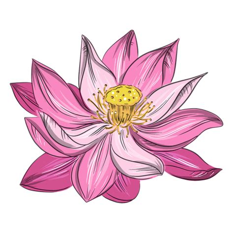 Chinese Flowers PNG Designs For T Shirt Merch