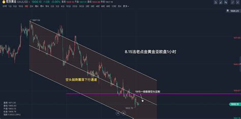 【法老点金】8月15日【黄金原油】亚欧盘：黄金昨日承压1916关口继续弱势下行破底收盘延续压制空头，今日反抽依托1913关口继续 财富号 东方财富网