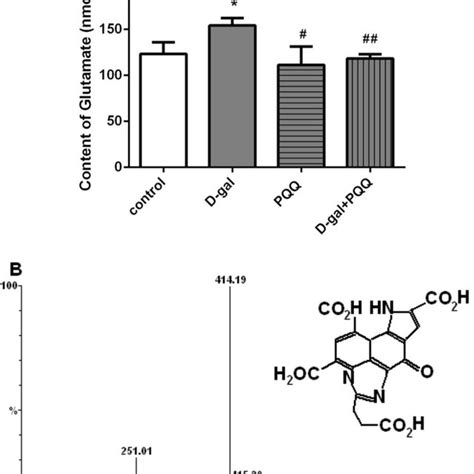 Effects Of Pqq On Glutamate Content A In Hippocampus Of The