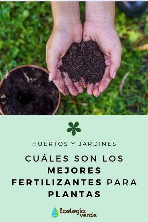 Cuáles son los MEJORES FERTILIZANTES para PLANTAS Fertilizante para