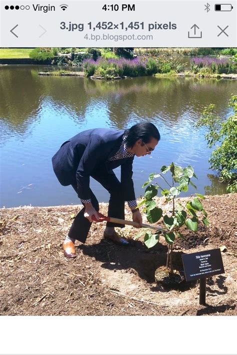 Nick Cave Planting His Lime Tree At The Royal Botanical Gardens Melbourne