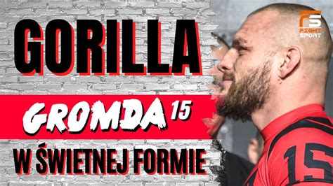 Gorilla W Wietnej Formie Pitbulle Czekaj Na Powr T Gromda Youtube