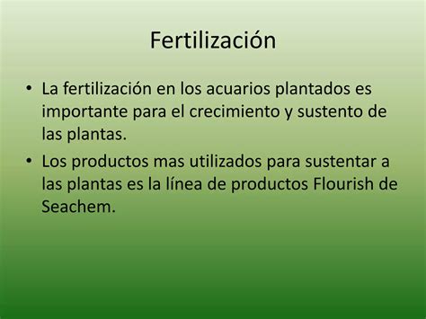 InformacióN BáSica Sobre Los Acuarios Plantados PPT