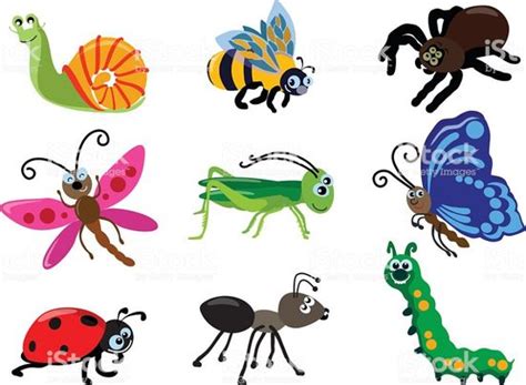 Clip Art Insect