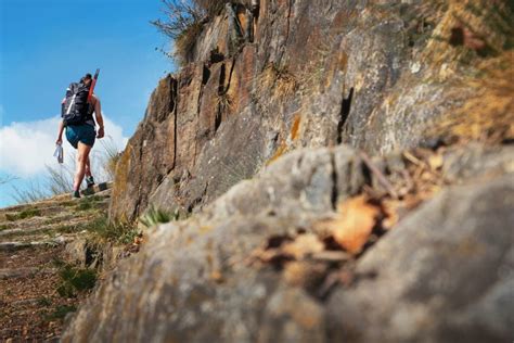 Diferencias Entre Senderismo Hiking Y Trekking Viafrancigena Es