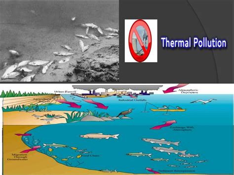 Thermal pollution