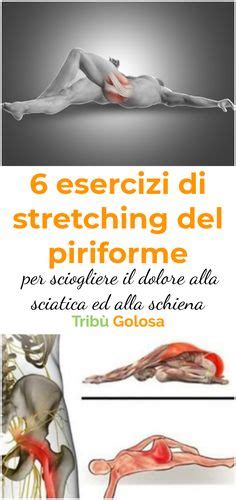 Idee Su Psoas Muscoli Esercizi Per La Sciatica Esercizi Di