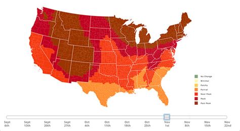 Interactive And Predictive Fall Foliage Map Will Help You Find The