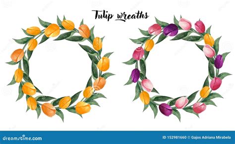 Watercolor Tulips Wreaths Colorful Tulips Wreath And Yellow On White