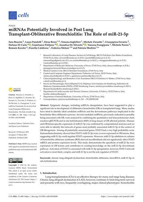 PDF MiRNAs Potentially Involved In Post Lung Transplant Obliterative