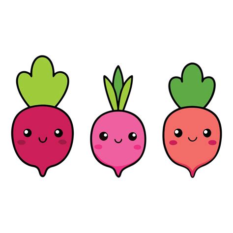 Three different types of radishes are shown 51288070 Vector Art at Vecteezy