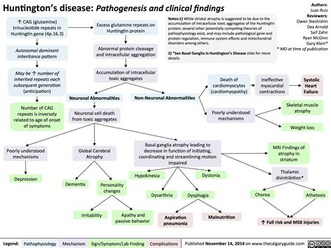 Huntington's Disease: Pathogenesis and Clinical Findings | Calgary Guide