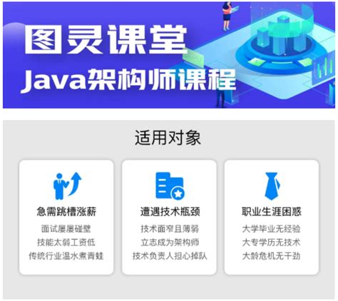 图灵课堂java架构师vip课程第六期 无密同步更新 小白自学网