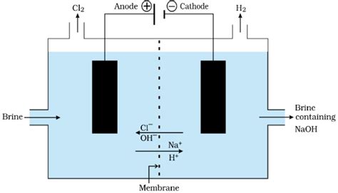 What Is The Importance Of Membrane In The Chlor Alkali Process What