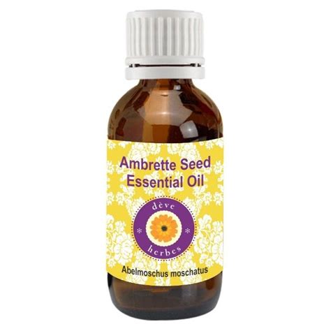 Buy Deve Herbes Pure Ambrette Seed Essential Oil Abelmoschus