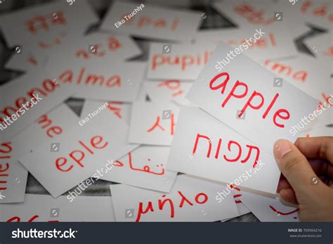 Hebrew To English Translation Photos and Images | Shutterstock