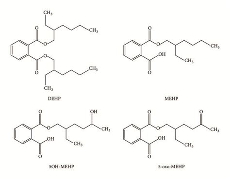 Toxic Effects Of Di2ethylhexyl Phthalate An Overview Rowdhwal