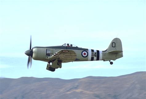 Warbird Alley Hawker Sea Fury Photos