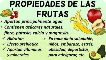 Propiedades De Las Frutas Botanical Online