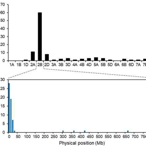 Distributions Of The Polymorphic SNPs In Each Chromosome By 35 K