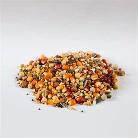 Pigeon Supplies – King Pet's Food