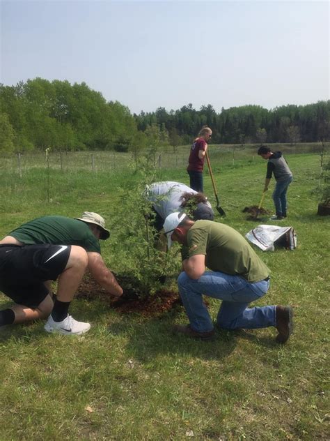 Xperitas Cedar Tree Planting Welrp