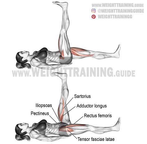 Lying Alternating Straight Leg Raise Instructions And Video Exercise