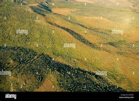 Aerial view of the caldera of Mount Elgon, Kenya, East Africa Stock ...