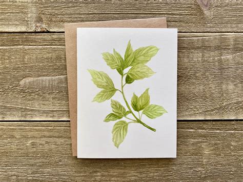 Watercolor Herb Notecards Hand Painted Set Of 4 Watercolor Etsy