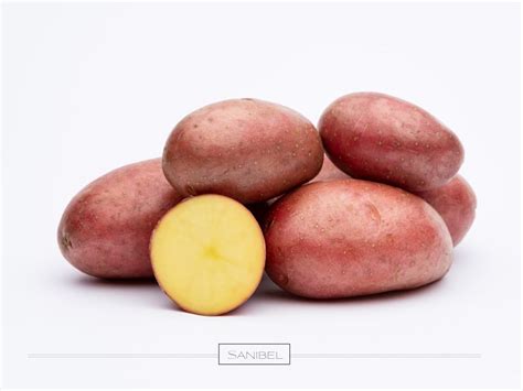 Red Potato Varieties Sunrain Potatoes