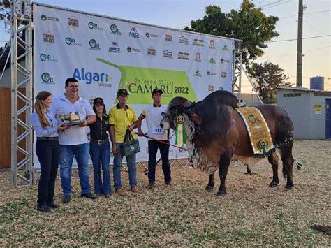 ABCGIL Associação Brasileira dos Criadores de Gir Leiteiro