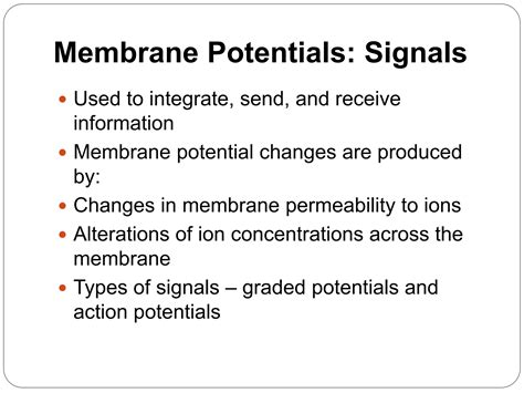 Resting Membrane Potential And Action Potential Ppt