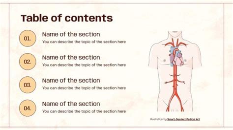 Anatomy of a Heart Presentation