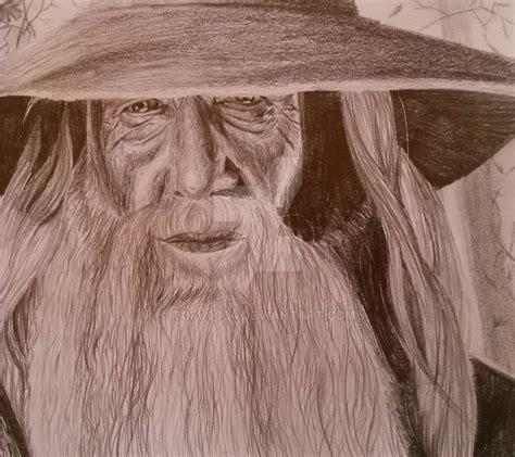 Gandalf The Grey Lotr Thehobbit By Tofu0004 On Deviantart