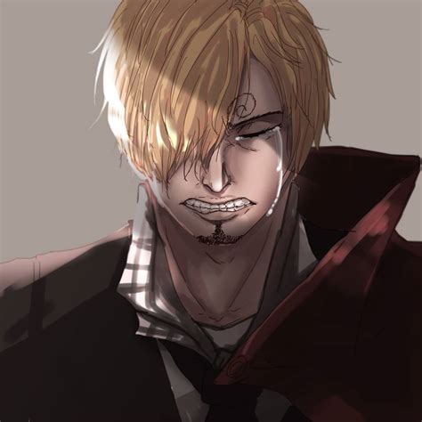 Sanji Crying by fpxzy111 on DeviantArt