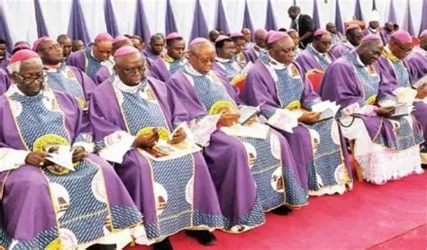 Well Not Bless Same Sex Marriages Catholic Bishops Assures NigeriansDAILY TIMES Nigeria