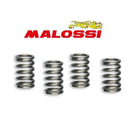 Kit Molle Frizione Rinforzate Racing Malossi Yx Gpx Zs Dt Evomotor