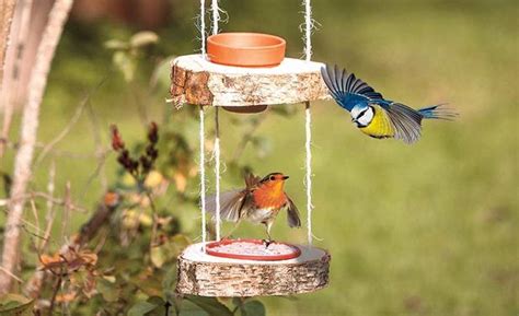 Vogelfutterspender Selber Bauen Selbst De