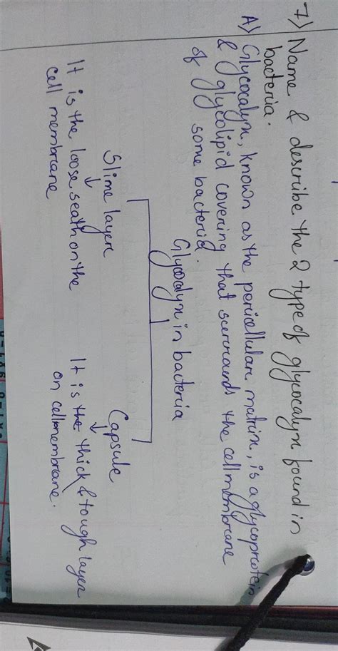 Name and describe two types of glycocalyx found in bacterial cell ...