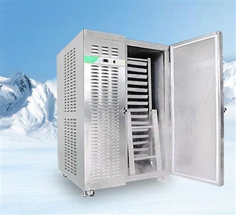 Commercial Blast Chiller Freezer Trays For Fishery With Ce China